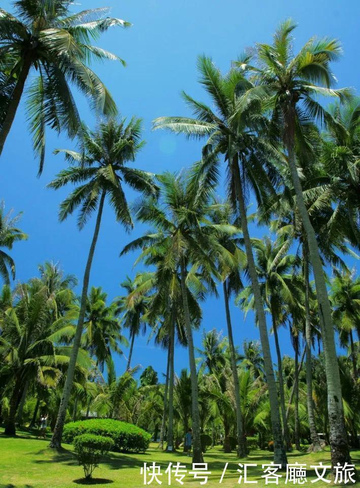 甘南 40个值得去的国内地方,个个美如画,少去一个都可惜!