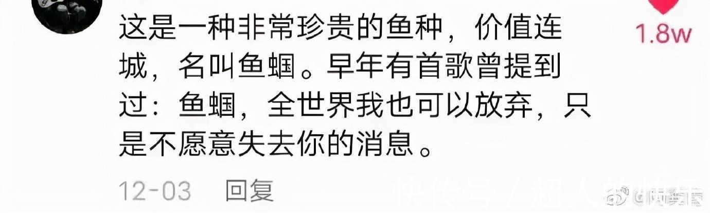 |拍迪士尼烟花翻车现场 冷段子2008