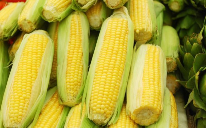 小知识|玉米和此物煮一煮，睡眠好了、皱纹淡了，女人不想显老可以试试