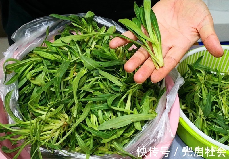 这种野菜,它的味道很鲜美,但它的名字却很奇怪,你见过吗?