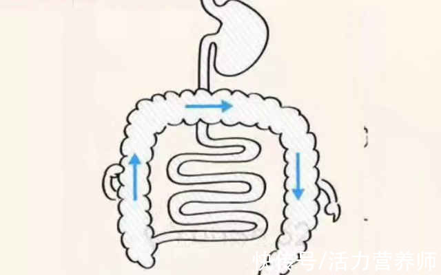 食物|便秘很可怕?若你经常吃5种加重便秘的食物,幸福感会大幅度下降