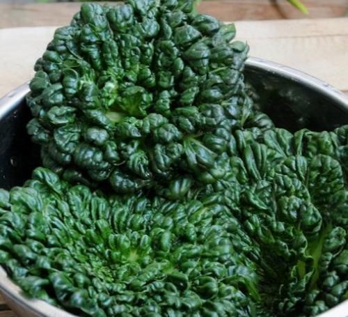 长寿|人到中年想长寿，要学会吃3种食物，营养丰富、身体棒棒哒！