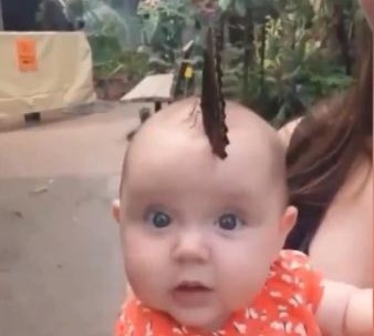 发型|路人看到宝宝留着“扫帚发型”,走近后一看,却是感到不可思议