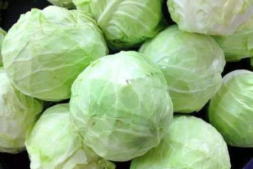 松散|买包菜时,“松散”和“紧实”挑哪种?口感大不一样,清楚了再买