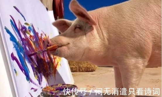 小猪&全球唯一会画画的猪,作品卖几万,猪界毕加索,网友:人不如猪