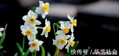 父母|出生在几点钟的孩子,是才子佳人,从小就优秀到大,是人中龙凤