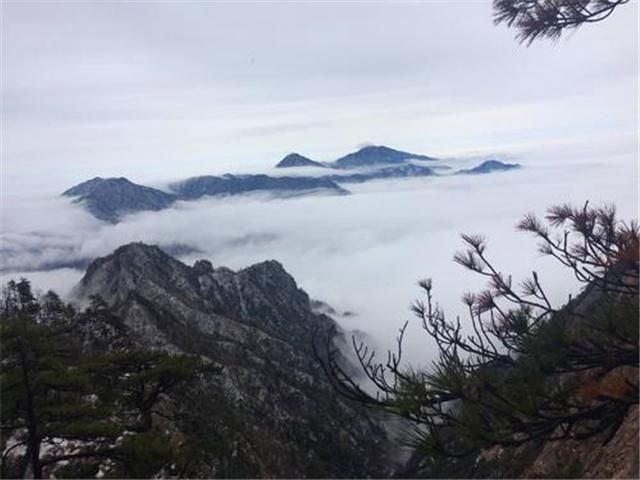  地方就|我国的第一仙山，以前被皇帝选为皇室家苗，门票两百游客络绎不绝