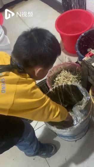 孩子|“妈妈,我不想学习了!”这位妈妈的回答,让无数父母震惊羞愧