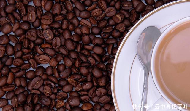 咖啡|每天都喝咖啡的你,对咖啡的了解有多少呢