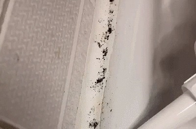 人心情|建议大家如果不差钱,尽量在卫生间添置这3件物品,幸福感更强