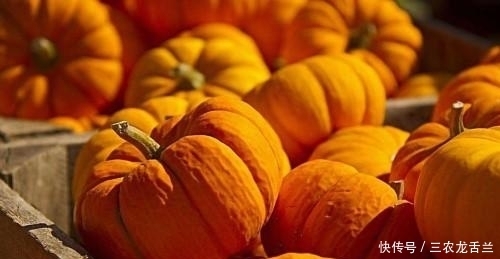 食物|有“胃病”的人, 这4种食物每天换着吃, 胃病不敢找上门!