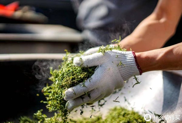 喝普洱茶，除了“好喝！”我们还能说什么？