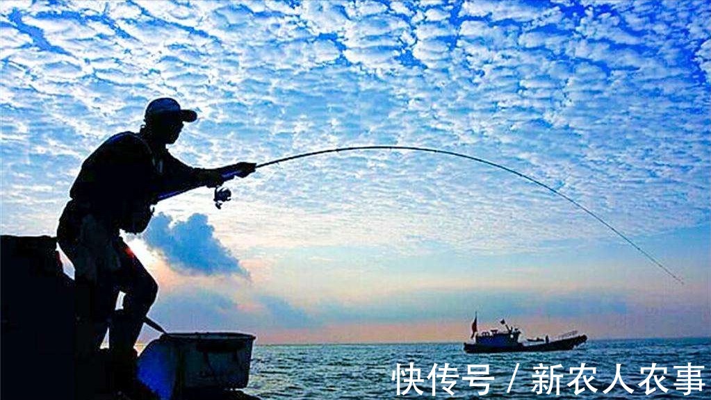 江苏一男子野钓捅了水老虎窝，一不小心就爆护了，网友：适当索取