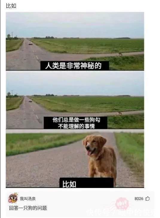 |搞笑合集:村子里有一群神秘人,整日打牌不愁吃喝,哪来的钱