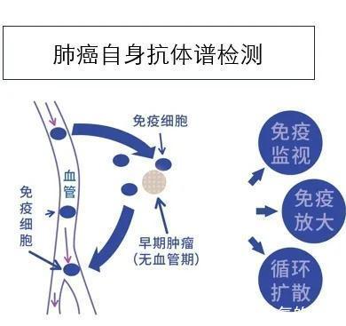 有肺结节的人，都值得看一看