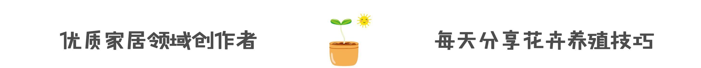 小小一瓶风油精,作用真不少,教你解开隐藏技能