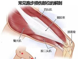 疼痛|跑步疼、蹦跳疼、上下楼梯疼，膝盖“动不动就疼”咋回事？