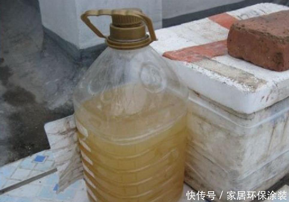 对于养花的人来说,家里这些“垃圾”扔掉就是浪费,养花好用的很