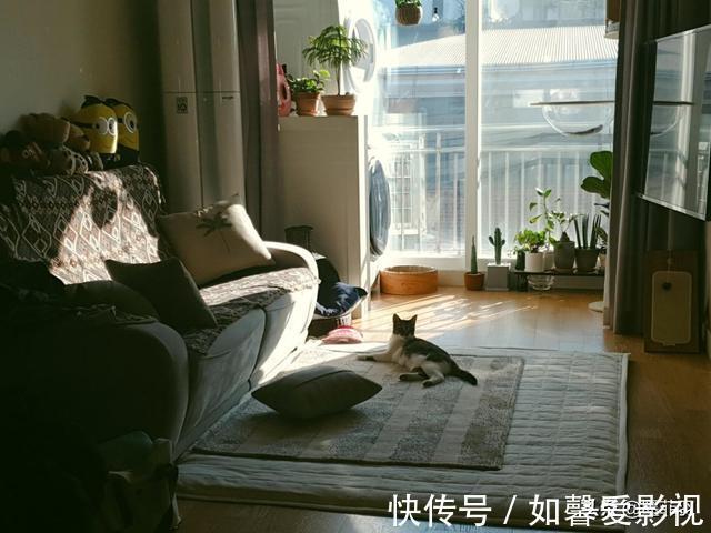 卫生间|90后姑娘晒出新房：66㎡像入住了10年，一开门网友评：满屏脚臭