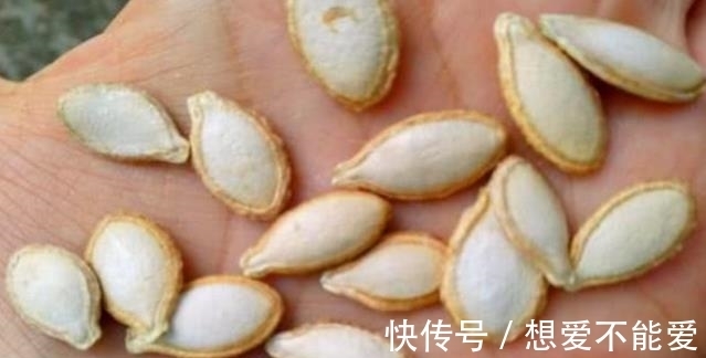 食物|一旦确诊“前列腺炎”,4种食物没事多吃点,或许会起“大作用”