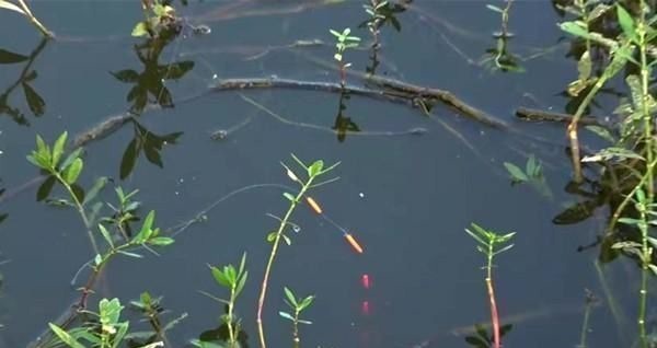 钓鱼必杀技久坐无鱼咬钩,试试这些狠招数,咬钩量翻几倍