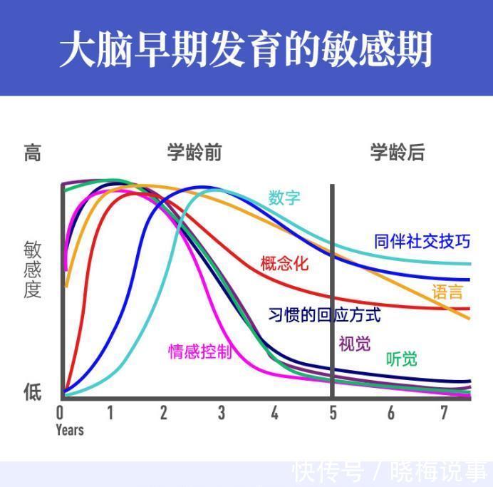 大脑|新手妈妈照顾新生儿，把握“三要”和“三个原则”，宝宝更聪明