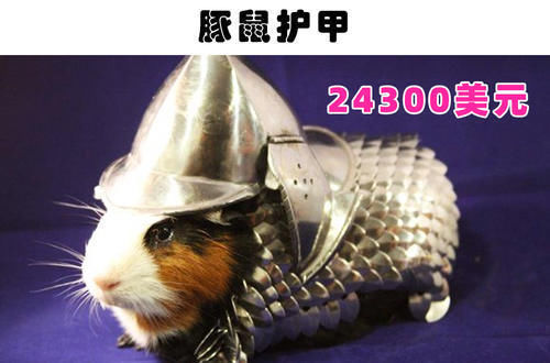 安德鲁|奇怪的网购商品：世界各地的网购平台上曾出现过的9件奇怪商品