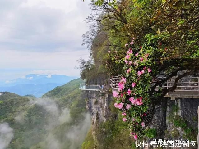 汉中|自驾游去哪儿?来汉中这里感受绝美的初夏风光