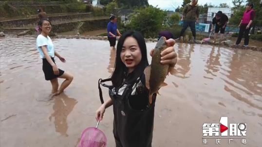 打卡巴渝美景：綦江横山 偶得身闲乐暂偷