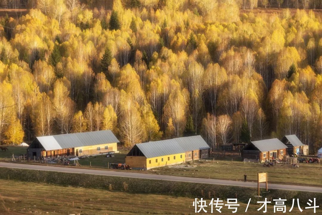 答王十二寒夜独酌有怀！古人藏在诗词里的浪漫，流转千年，再续芳华