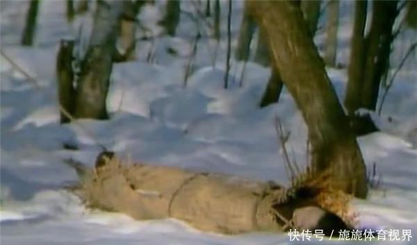 别以为她只是《红楼梦》里的“探春”,看看她导的戏,质量也不差