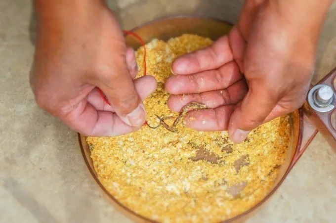 失手绳|垂钓大板鲫总是没有口,这4个口诀需要掌握,上鱼率立马就提高了几倍