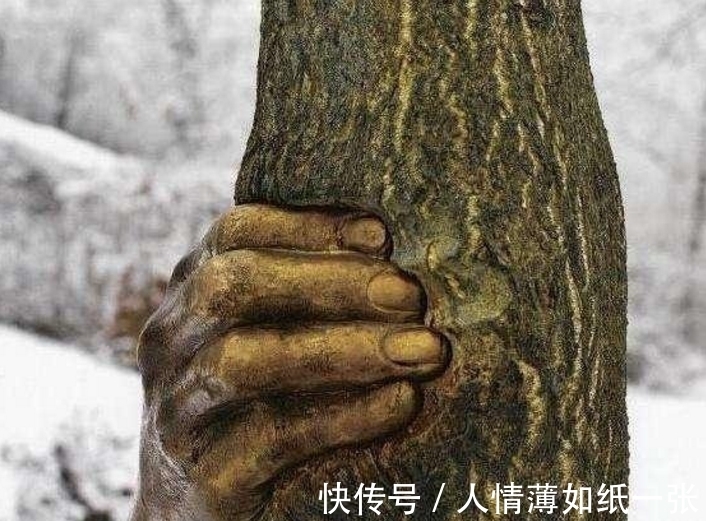 一只手|世界上最顽强的一只手，握在一棵树上50年，网友：好心疼树
