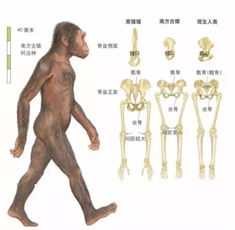 妈妈|顺产明明是最高级别的痛,为何妈妈都能撑过去?原来身体如此奇妙