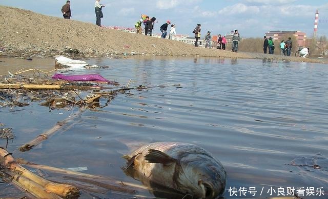 钓鱼人的“福利”:政府搭建钓台规划垂钓区,全国即将“推广”?