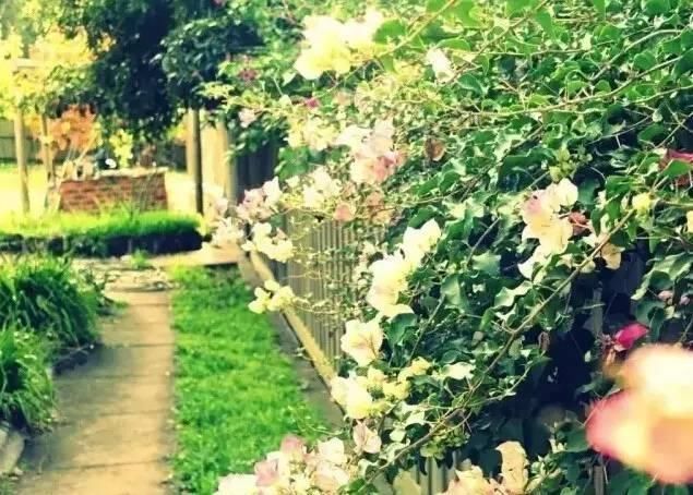 房子|40款不同格调庭院,适合乡村有房子的你,亲近自然的宜人环境