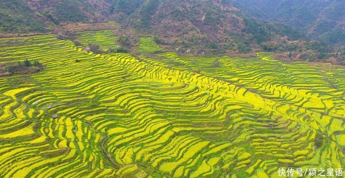 婺源田园风光的代表，油菜花欣赏基地，《集结号》取景拍摄