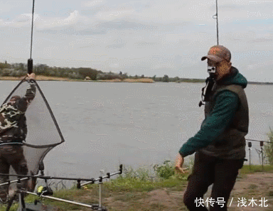 钓上的鲤鱼个头不小,年纪不小了吧,鱼肉应该很老呢?能吃吗