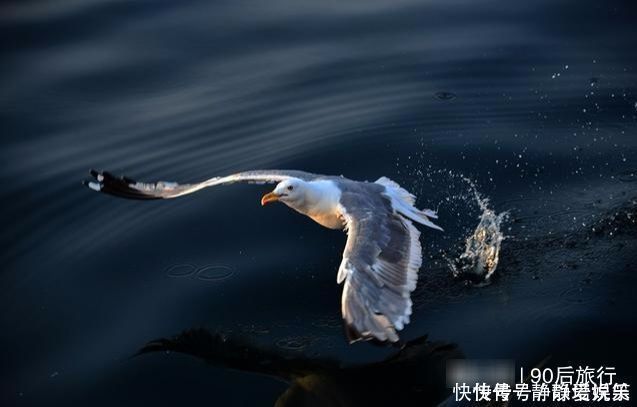 贝加尔湖|贝加尔湖再创奇迹，湖水改流中国犹如引海入彊，利国利民的好事