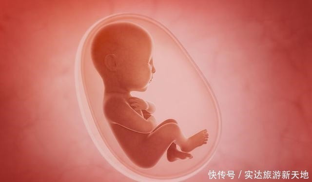 染色体|孕期B超单直接反应胎儿状况,这5处孕妈要学会看懂,医生不会详说