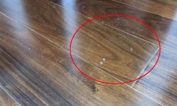 卫浴|住1年返工3次才敢说19大装修细节最致命!错1处多交上万智商税