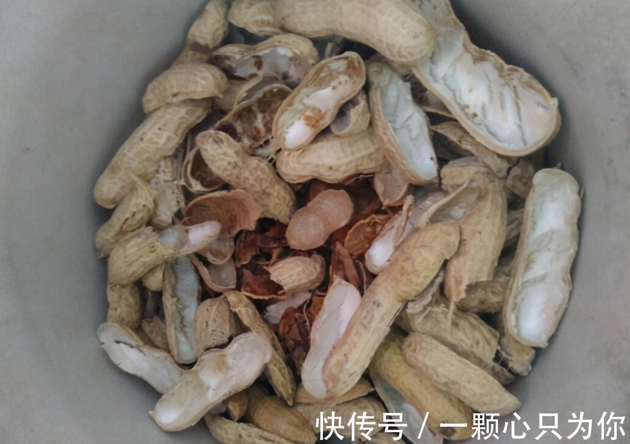 果皮|垃圾桶三种废物,千万别扔,都是养花神器,养啥花都爆盆