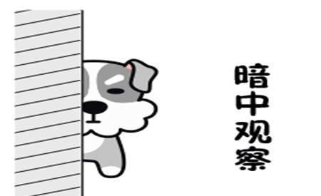 |幽默笑话:老板不知道啥原因,自我沉迷于榴莲之中,无法自拔