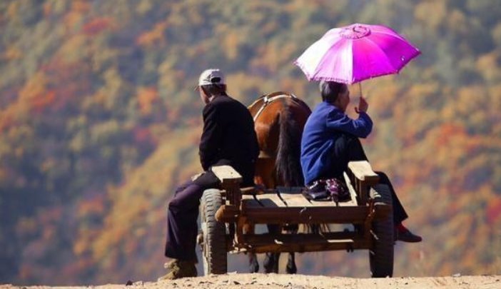老祖宗|“五十不交钱,六十不交言”,老祖宗的人生经验,说透了人生