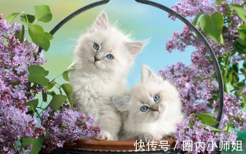 |幽默笑话:老板请我们所有部门经理去吃饭,我有点事情去晚了