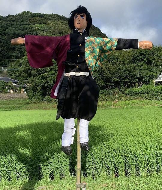 日轮刀|日本网友偶然在田间看见《鬼灭之刃》稻草人,这下子鬼都不敢来了
