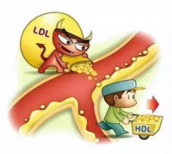 低密度脂蛋白|体检发现甘油三酯偏高，其他正常，说明1个问题，要注意