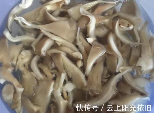 这菜5块钱一斤,加个鸡蛋出锅比肉香,孩子爱吃增强抵抗力少生病