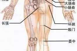  穴位|艾灸10大穴位，灸通了，想病都难！赶紧收藏！