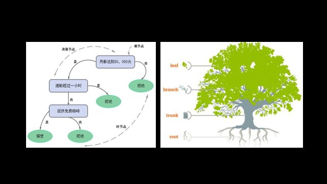 G可解释 生物医学